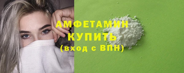 крисы Козельск