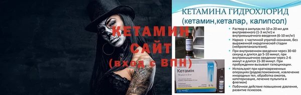 крисы Козельск
