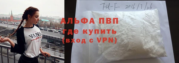 прущие грибы Козловка