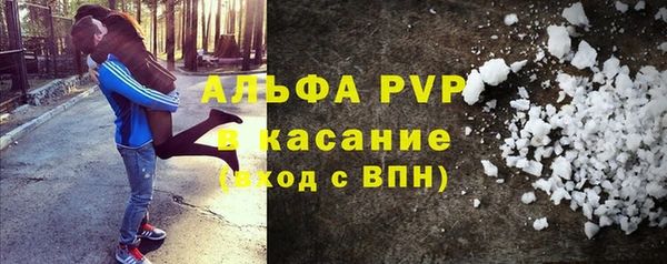крисы Козельск