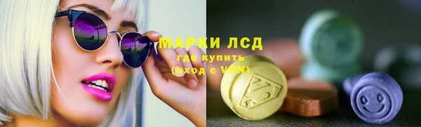 крисы Козельск