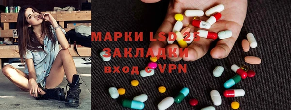 прущие грибы Козловка