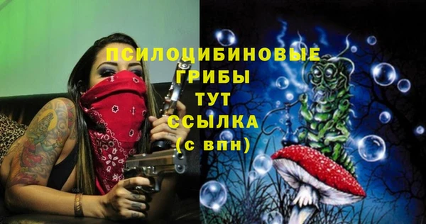mix Кодинск