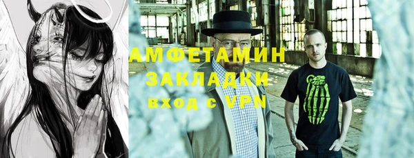 крисы Козельск