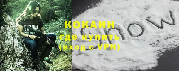 крисы Козельск