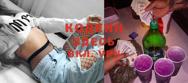 крисы Козельск