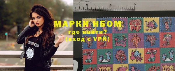 крисы Козельск