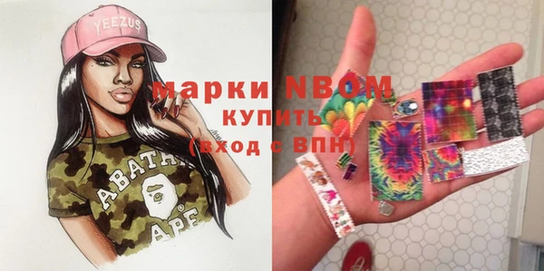 крисы Козельск
